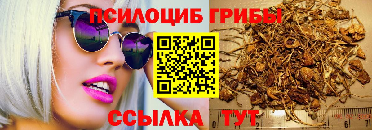 Галлюциногенные грибы мицелий Киров